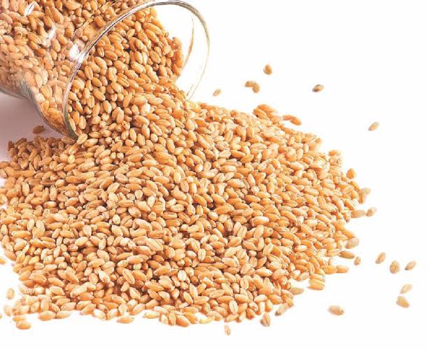 Sharbati Atta: The Golden Grain of Nutrition and Taste