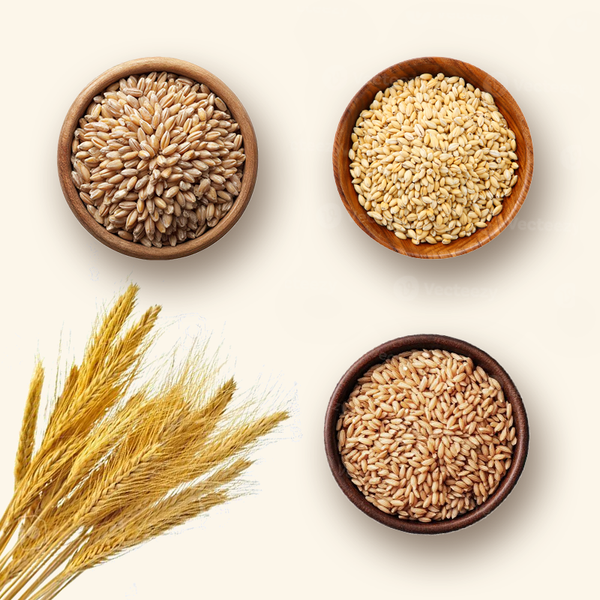 Choose Wheat