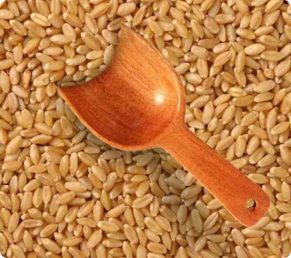 Standard Wheat