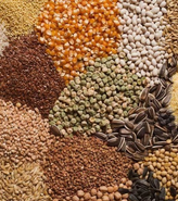 Multigrain Flours